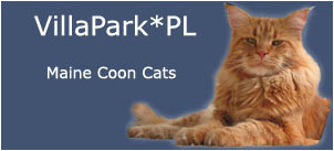 Banner Maine Coon cattery Villa Park*PL